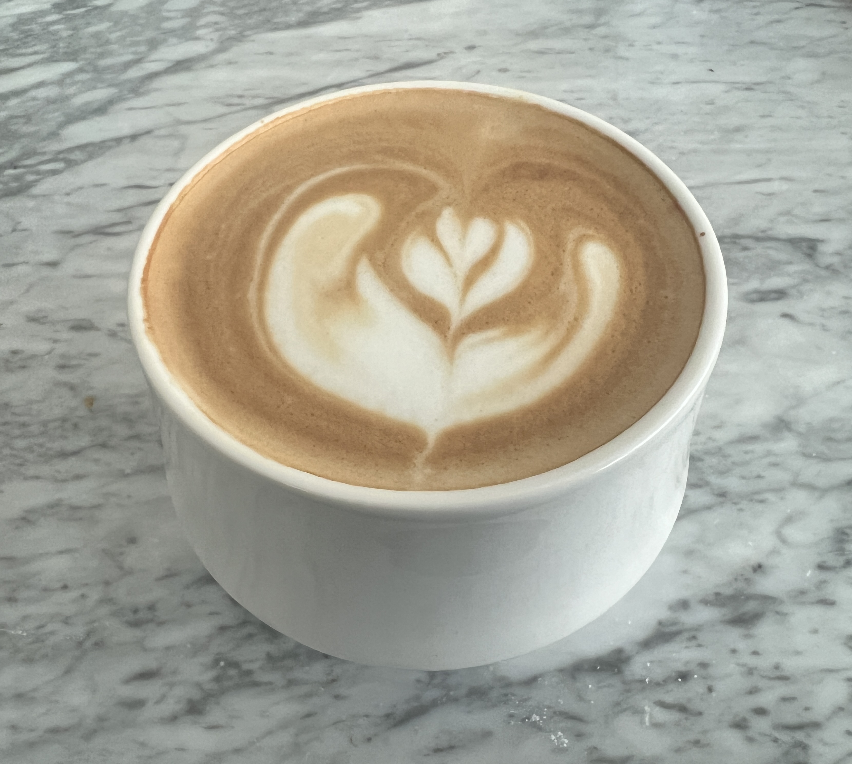 First rosetta